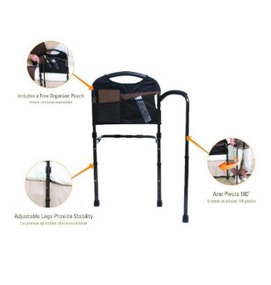 Fold-Out Mobility Rail