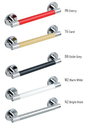 Stylish Colored Grab Bars with Stainless Steel Accents