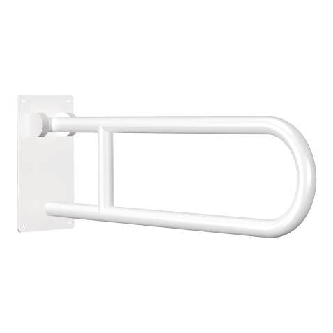 Flip-Up Grab Bar