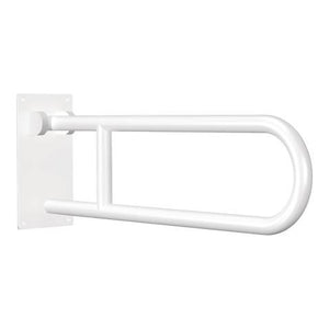 Flip-Up Grab Bar